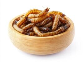 Edible insects displayed in a wooden bowl ready for consumption photo