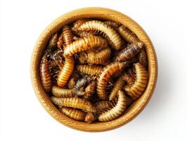 Insects served in a wooden bowl for culinary use in modern cuisine photo