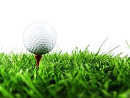 Golf ball resting on tee in lush green grass during daylight photo