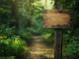 Wooden signpost along a tranquil forest trail in morning light photo