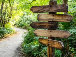 Wooden signpost directs hikers on a forest path in nature photo