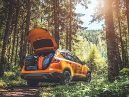 Adventure awaits with packed gear in a forested area photo