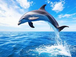Dolphin leaps joyfully above sparkling ocean waves photo