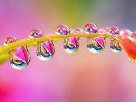 Water droplets glisten on green leaf with colorful background photo