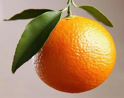 Fresh orange hanging from a green leaf branch in bright light photo