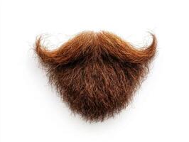 Creative depiction of a brown mustache and beard hairstyle photo