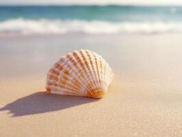 Beautiful shell resting on sandy beach at sunrise photo