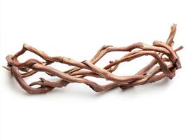 Wooden branches arranged in an artistic, natural formation photo