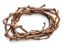 Natural twisted branches arranged in an artistic display photo