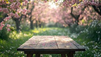 Empty wooden table displaying falling cherry blossoms in spring orchard photo