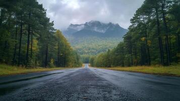 Wet asphalt road leading to misty mountain through autumn forest photo