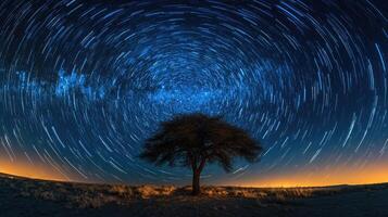 Star trails rotating around a lone tree in the desert night photo