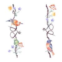 Vertical border with colorful birds on vine of heart shape by watercolor isolated. Romantic branch with delicate flowers on frame hand drawn. Avian illustration with floral elements for textile. vector