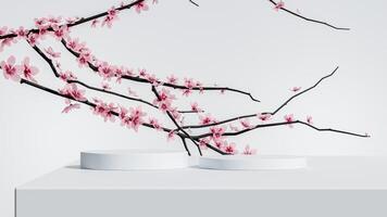 Two smooth white podiums adorned with pink cherry blossoms, showcasing a harmonious blend of nature and modern design in a bright setting. photo