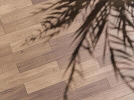 Palm leaf casting a shadow on a light wooden floor, creating an elegant natural pattern. photo