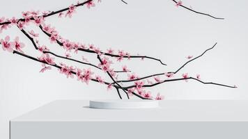 Elegant podium with delicate pink cherry blossom branches, creating a serene and minimalist aesthetic on a white background. photo