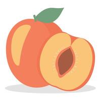 A juicy ripe peach sliced in half showing the seed inside and a green leaf on top a delicious summer fruit vector
