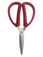 Scissors isolated on white background. red big scissors clipping path isolated object. household item clipart for isolated , clipping path , clipart element photo