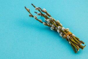 Palm Sunday willow branches ready for Easter celebration photo