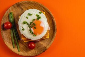 Sunny side up egg on toast with cherry tomatoes and green onions photo