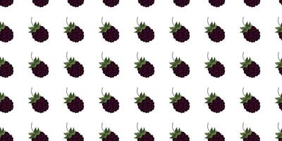 Pattern of blackberries on a white background with green leaves and consistent layout design vector