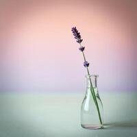 A single lavender stem in a clear glass bottle with a soft pastel gradient background, capturing sense of calmness and elegance photo