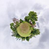 A small planet with a small house and trees photo