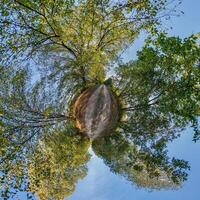 A small planet with trees and sky photo