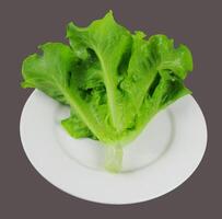 organic green lettuce plant on white plate isolated view on clear background photo