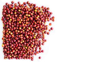 red cherries coffee bean in white background photo