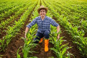 Portrait of happy farmer who is cultivating corn. He is satisfied with progress of plants. photo