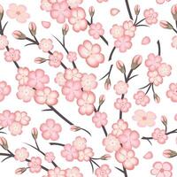 Spring seamless pattern with sakura branch flowers on white background. Pink flowers of Japanese cherry, or apple flowers. vector