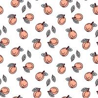 apricot seamless pattern vector