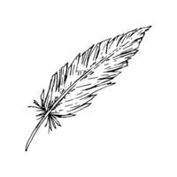 Ink drawing of a feather in monochrome style. Stylized hand drawn sketch suitable for textile prints, rural stationery, boho branding, wedding themes, Easter packaging, and farm-themed projects. vector