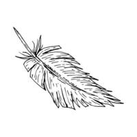 Hand drawn feather illustration in ink lineart style. Monochrome artwork for use in textile design, farm and wedding branding, Easter graphics, boho packaging, craft projects and rustic stationery. vector