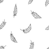 Seamless pattern with hand drawn bird feathers in ink line art style. Repeating design on dark background, ideal for textile prints, wrapping paper, wedding projects, or rustic stationery. vector