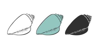 Conch seashell icons, clam shell with spiral shape of wildlife from tropical ocean bottom, seashore sand beach and coral reef. vector