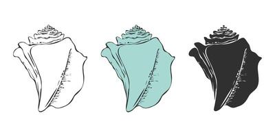 Conch shell icons, clam shell silhouette with spiral shape of wildlife from tropical ocean bottom, seashore sand beach and coral reef. vector