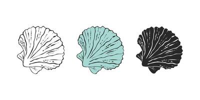 Sea shell Pectinidae scallop, sketch hand drawn. Set bivalve shells of sea creature, mollusk seashell. Icon set. vector