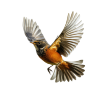 A vivid digital painting captures an avian in mid-flight showcasing intricate details and dynamic motion against a contrasting backdrop png