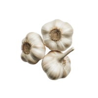 Three bulbs of garlic on a with a simple composition of the spice used in cuisines around the world png