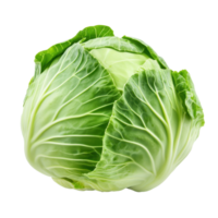 Fresh cabbage head with tightly wrapped green leaves Healthy food and vegetable source for culinary uses on a transparent background png