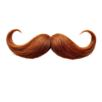 A vibrant auburn mustache artfully styled with prominent curls at the ends stands out against a stark png