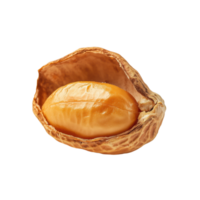 Close-up of a peanut revealing the kernel within its cracked shell showcasing the contrast between texture and color on a transparent background png