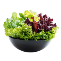 Fresh salad mix in a bowl A colorful combination of greens including red leaf butter and romaine lettuce perfect for a healthy meal png