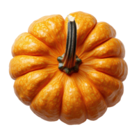 Vibrant pumpkin against a backdrop highlighting its texture and form Ideal for autumn themes 150 characters max png