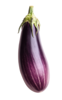 Striking eggplant on transparent background showcasing vibrant purple hues and unique striping pattern Fresh natural and visually appealing png