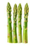 Four stalks of fresh green asparagus stand upright against a clean background showcasing their vibrant color and texture png
