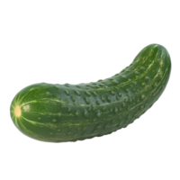 Fresh green cucumber a cool and crisp addition to salads and snacks isolated on a transparent background for versatile use png