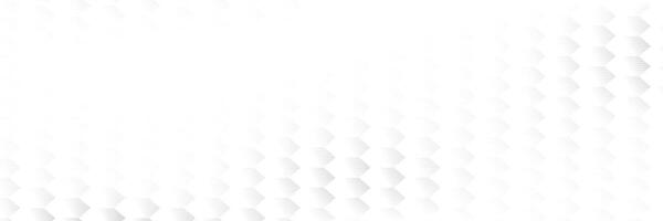 Abstract white and gray color, modern design stripes background with geometric hexagonal shape, illus vector